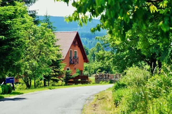 Wydrza-Przystan Villa Mirsk Exteriör bild