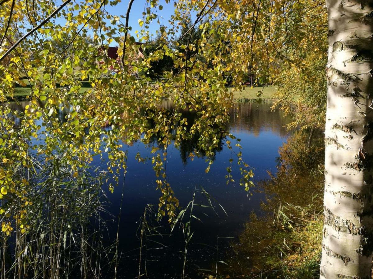 Wydrza-Przystan Villa Mirsk Exteriör bild